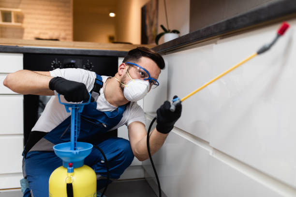 Best Bed Bug Extermination  in Centuria, WI