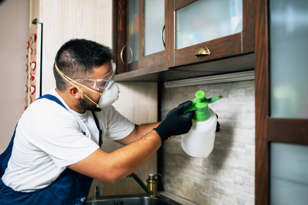 Best Wasp Removal Services  in Centuria, WI