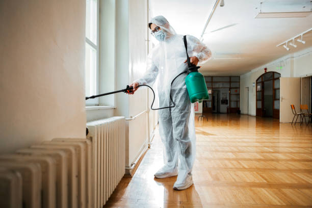 Best Termite Control Services  in Centuria, WI
