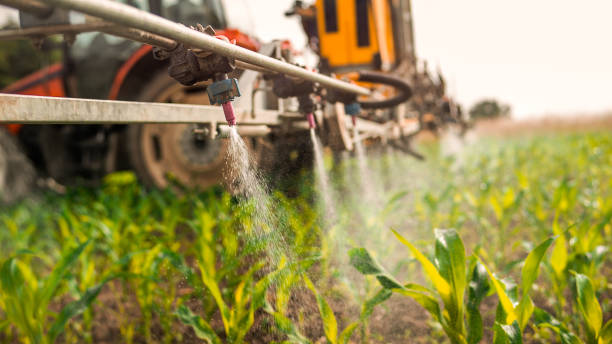 Best Ant Control Services  in Centuria, WI